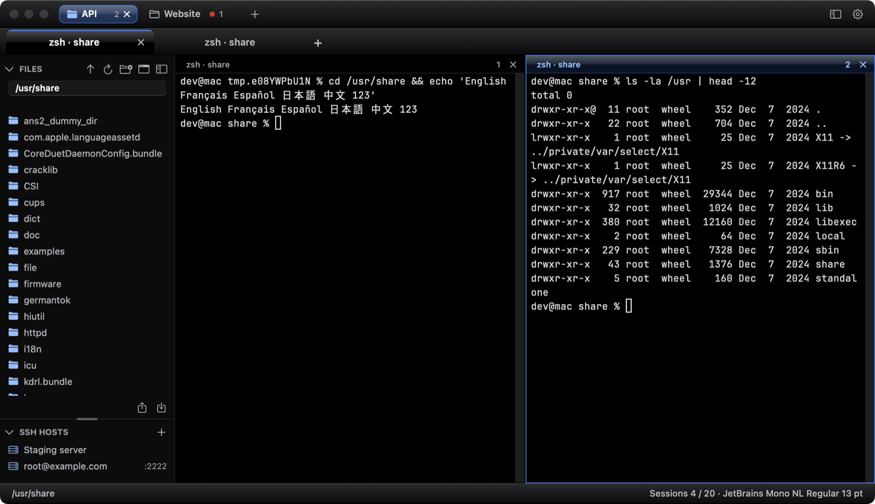 MiraTerm window with a sidebar, tabs and two panes